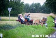 Korntage_2012-0331